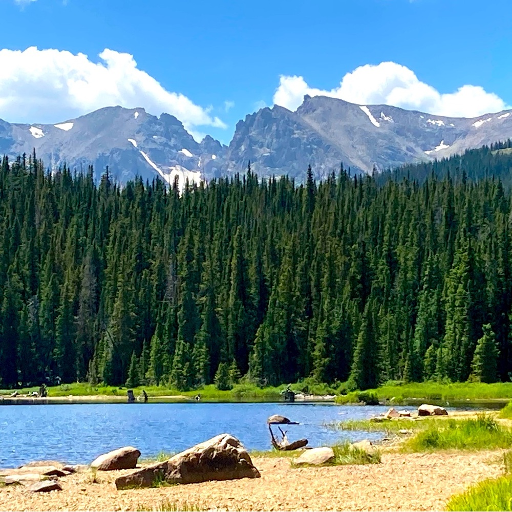 Meet your Posher, Genevieve